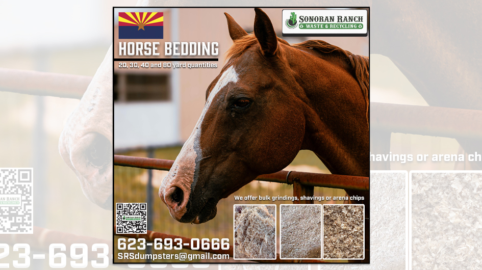 Horse Bedding in Cave Creek and Phoenix